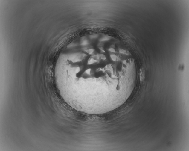 X0000114701059200911121535