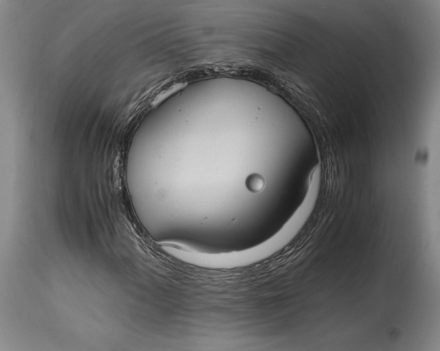 X0000114701060200911121535