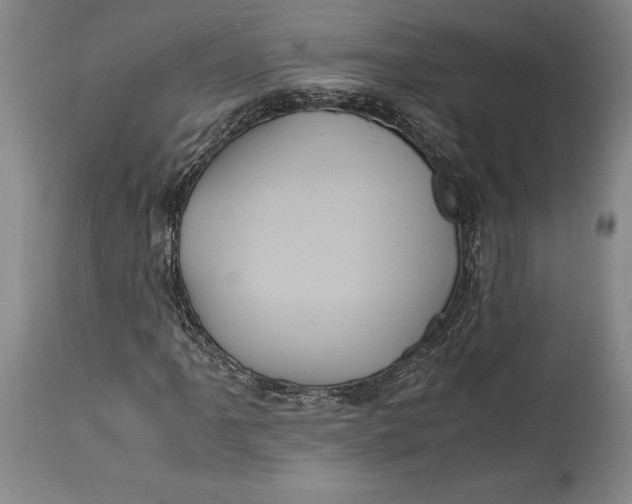 X0000114701061200911121535