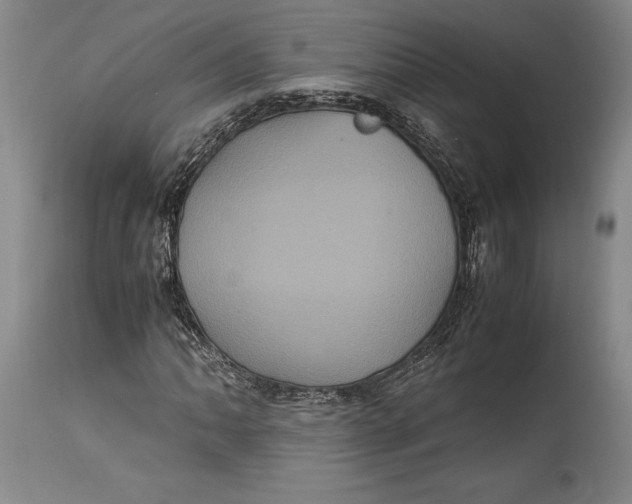 X0000114701062200911121535