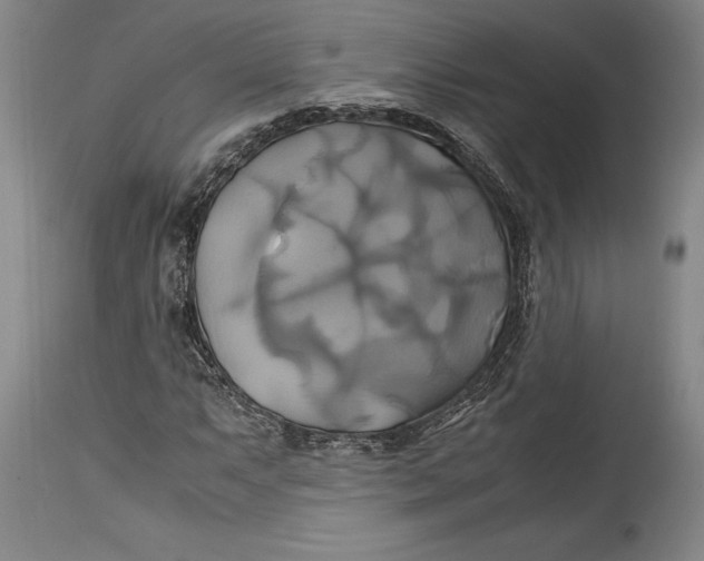 X0000114701063200911121535