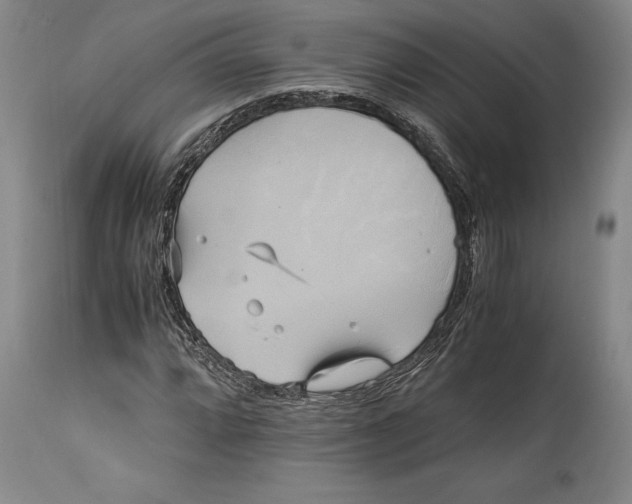 X0000114701064200911121535