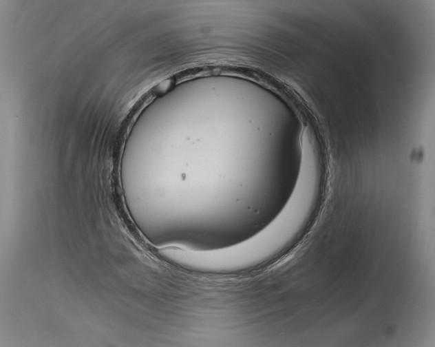 X0000114701065200911121535