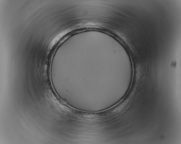 X0000114701066200911121535