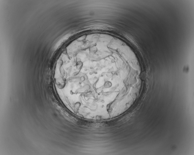 X0000114701067200911121535