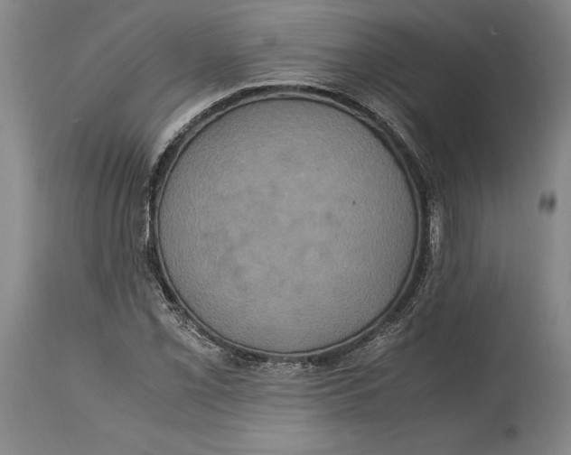 X0000114701069200911121535