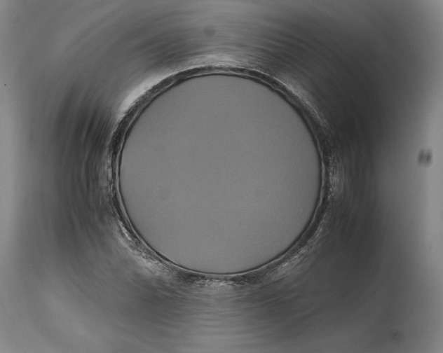 X0000114701070200911121535