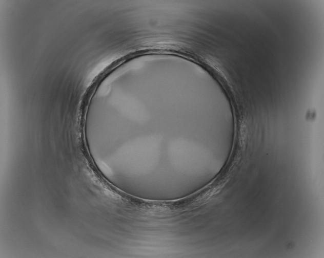 X0000114701071200911121535