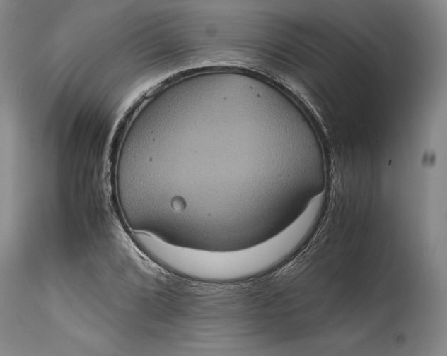 X0000114701072200911121535