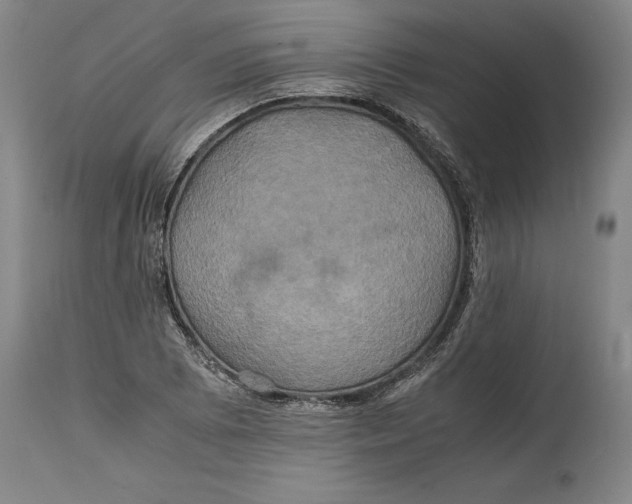 X0000114701073200911121535