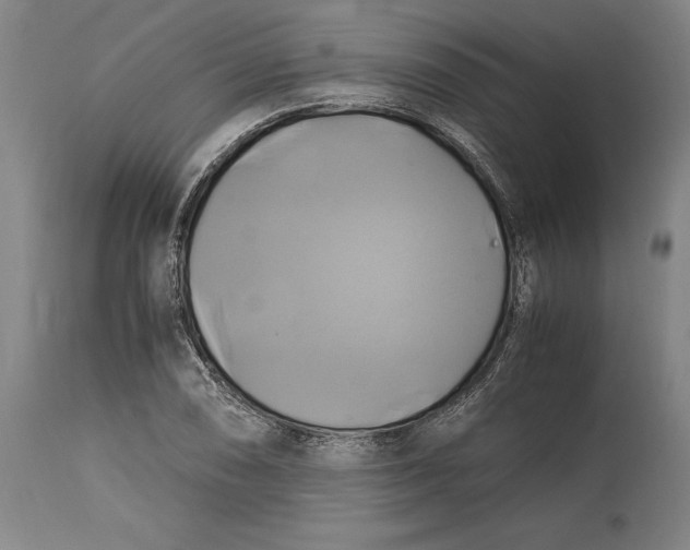 X0000114701074200911121535