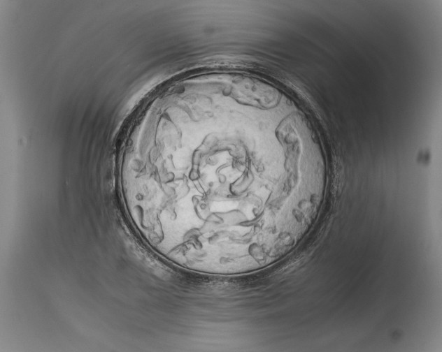 X0000114701075200911121535