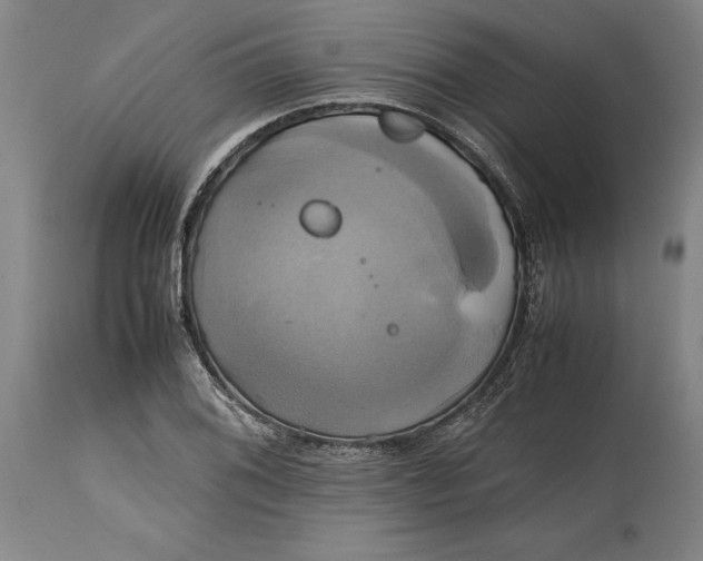 X0000114701076200911121535