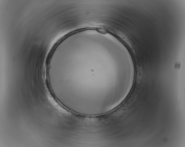 X0000114701080200911121535