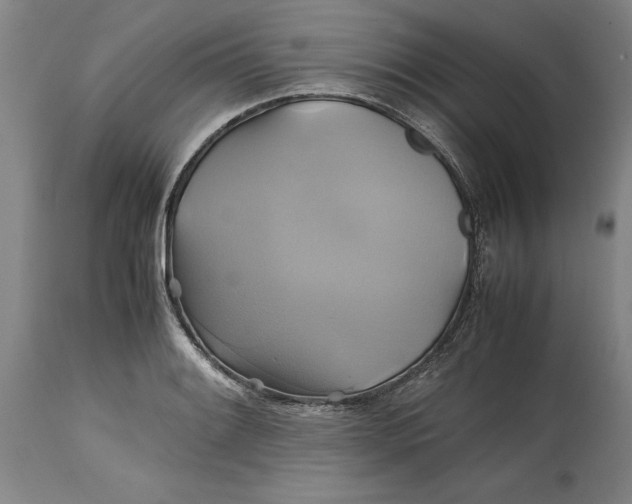 X0000114701084200911121535