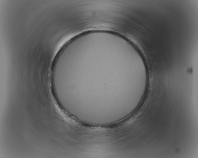 X0000114701085200911121535