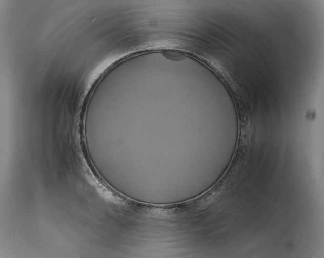 X0000114701086200911121535