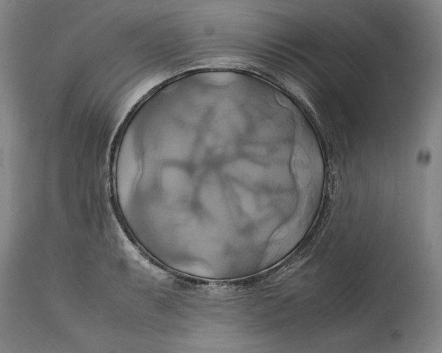 X0000114701087200911121535