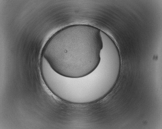 X0000114701088200911121535