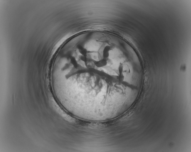 X0000114701091200911121535