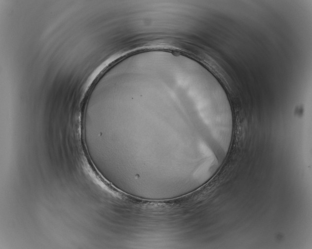 X0000114701092200911121535