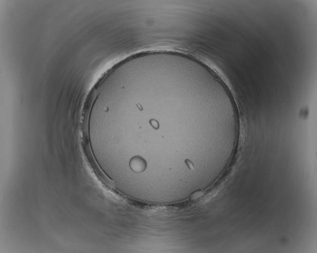 X0000114701093200911121535