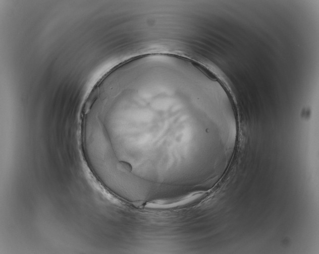 X0000114701096200911121534