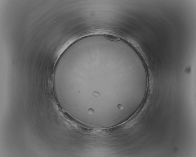 X0000114701097200911121534