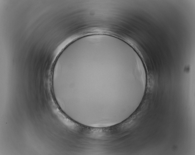 X0000114701098200911121534