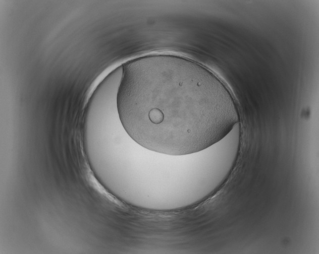 X0000114701100200911121534