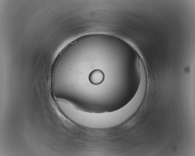 X0000114701101200911121534