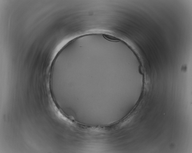 X0000114701102200911121534