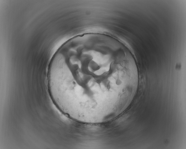 X0000114701103200911121534