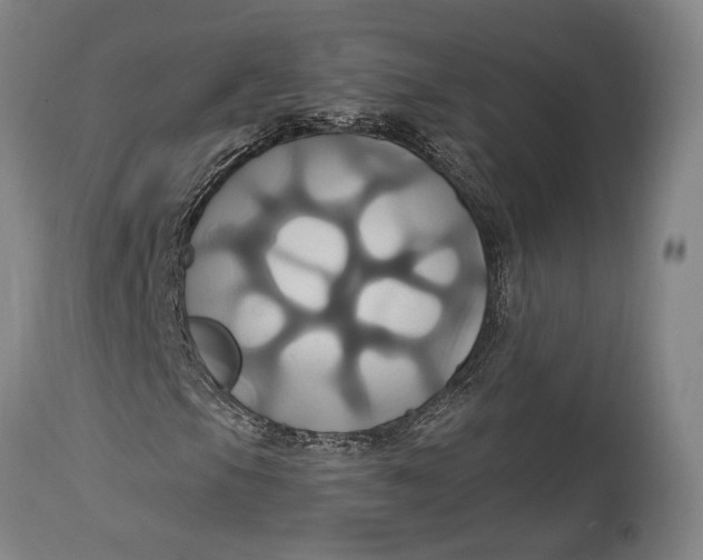 X0000114701105200911121534