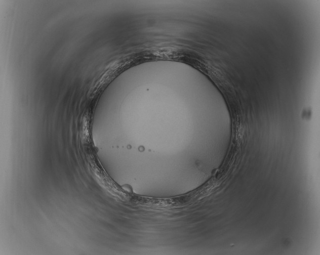 X0000114701106200911121534