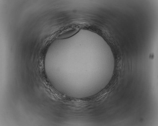 X0000114701109200911121534