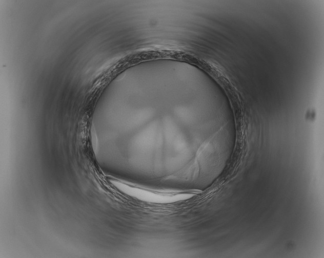 X0000114701110200911121534