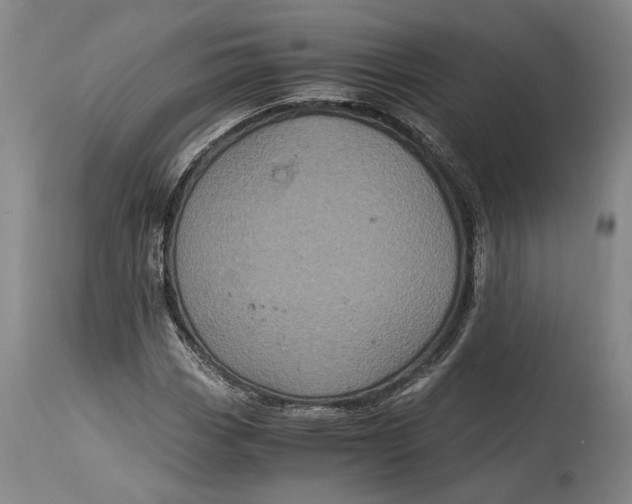 X0000114701113200911121534