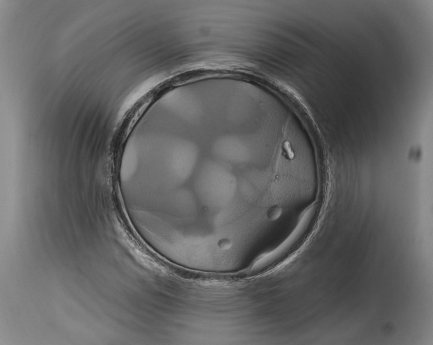 X0000114701114200911121534