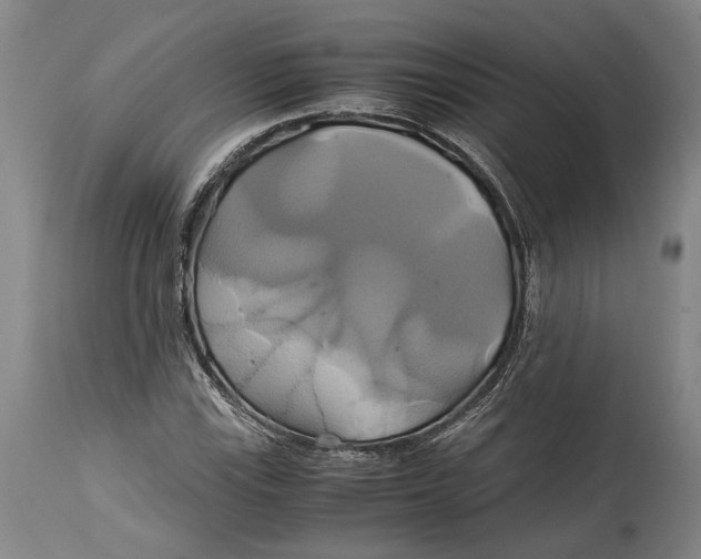 X0000114701115200911121534