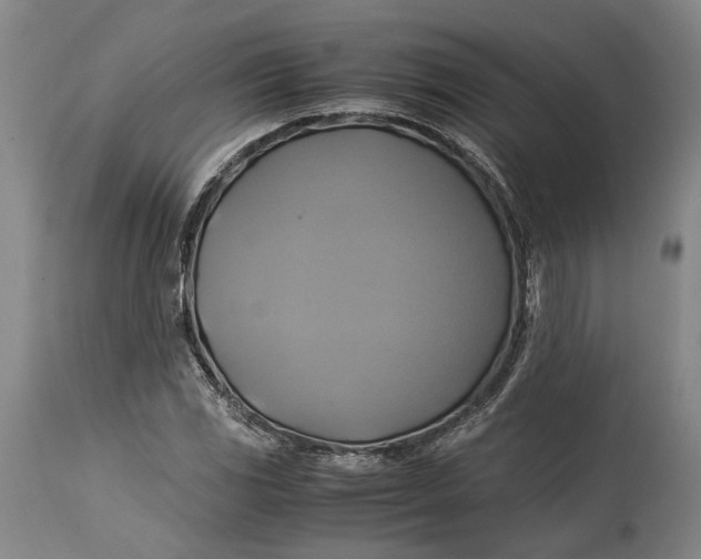 X0000114701117200911121534