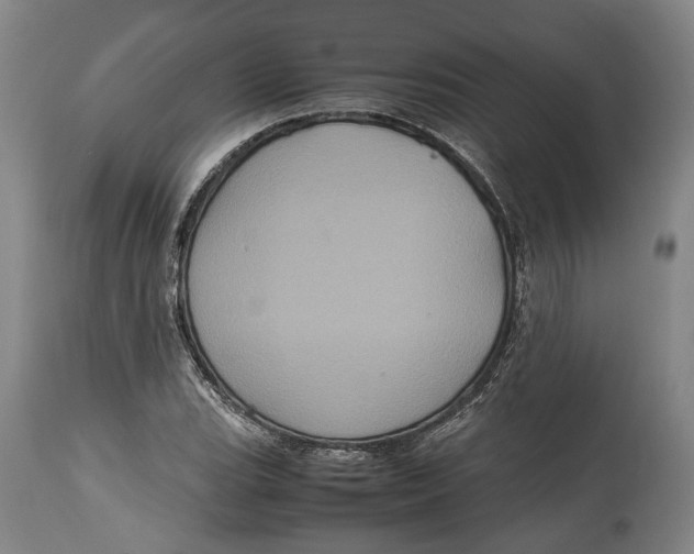 X0000114701119200911121534