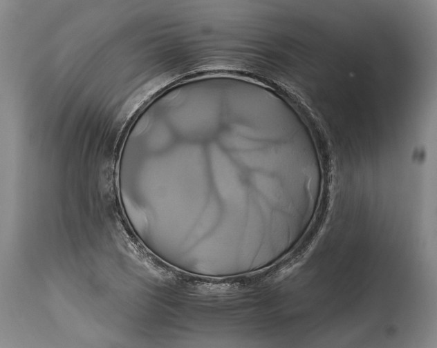 X0000114701121200911121534