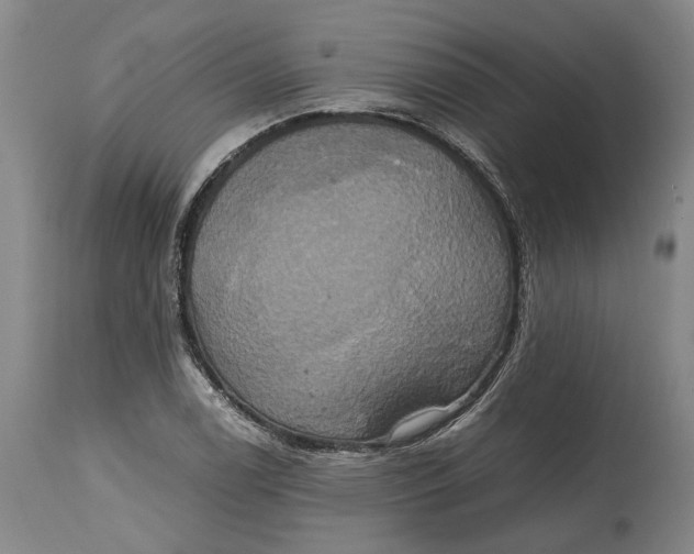 X0000114701122200911121534