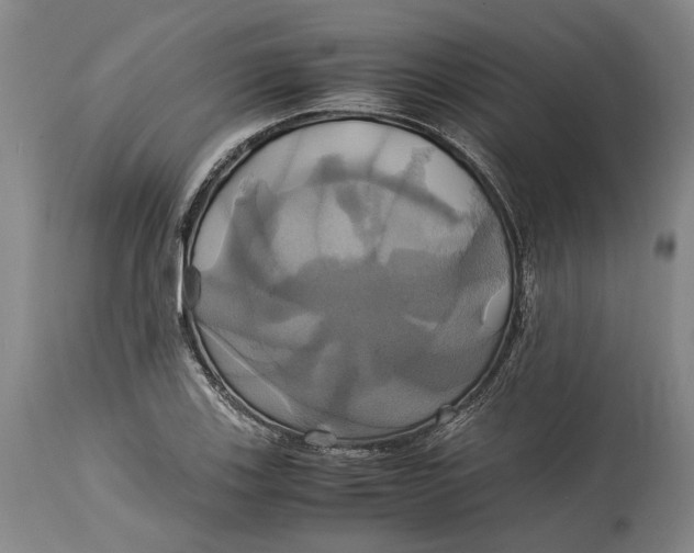 X0000114701123200911121534