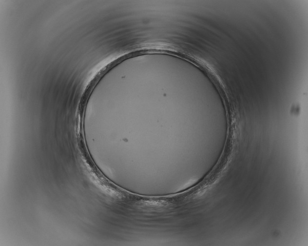 X0000114701125200911121534