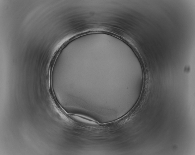 X0000114701127200911121534