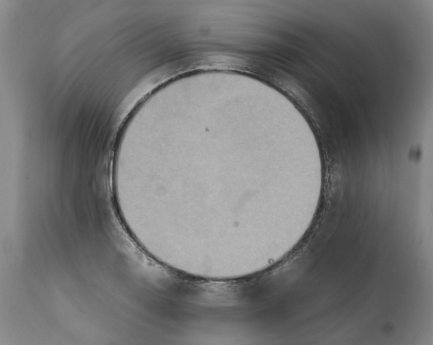 X0000114701130200911121534