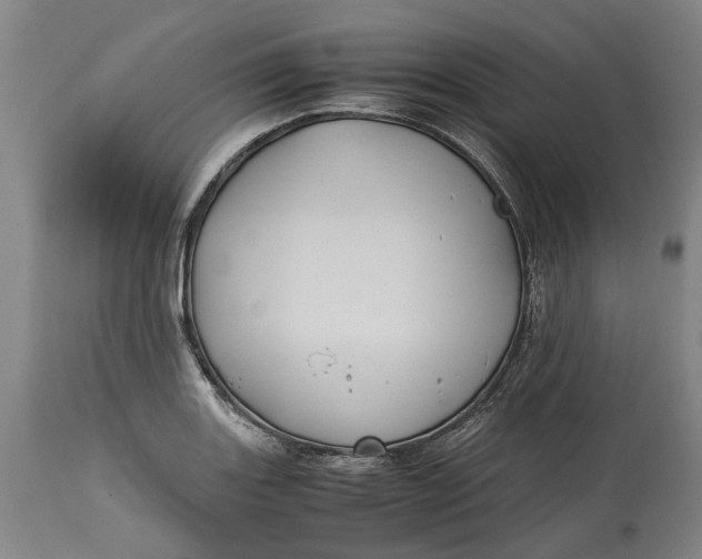 X0000114701131200911121534