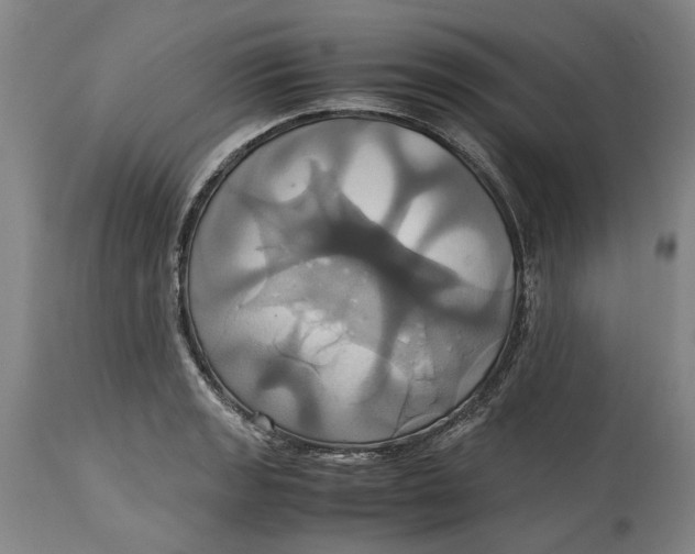 X0000114701133200911121534